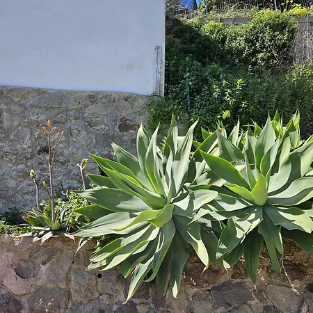 Margot - Authentic Sea View Countryside Apartman *