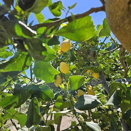 Margot - Authentic Sea View Countryside Apartment Lipari (Isola Lipari)