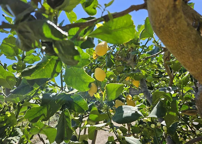 Margot - Authentic Sea View Countryside Apartment Lipari (Isola Lipari)