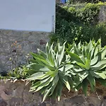 Margot - Authentic Seaview Countryside & Apartment *