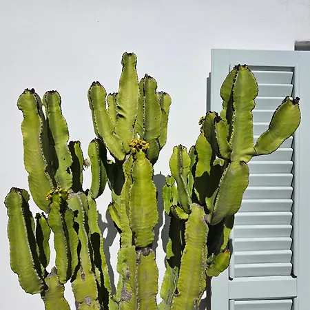 Margot - Authentic Sea View Countryside Апартаменты *