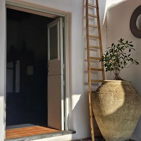 Apartment Margot - Authentic Sea View Countryside