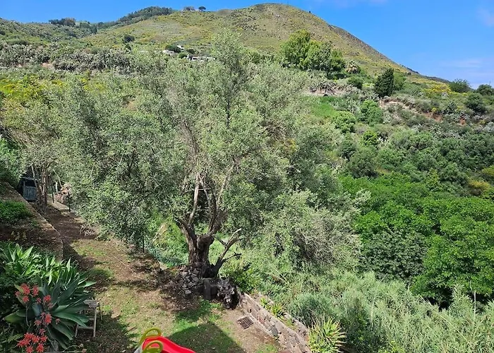 Margot - Authentic Sea View Countryside Apartment Lipari (Isola Lipari)