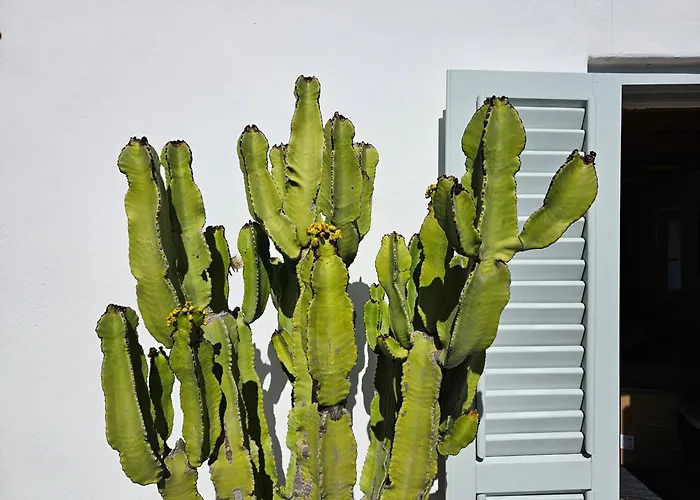 Margot - Authentic Sea View Countryside Апартаменты *