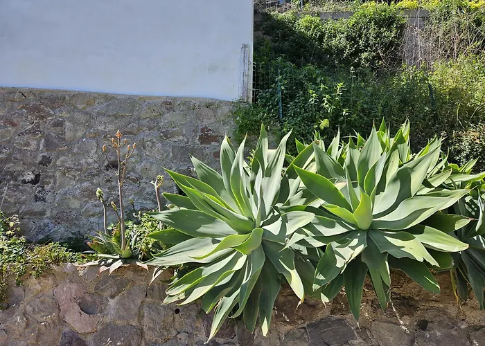 Margot - Authentic Sea View Countryside Апартаменты *